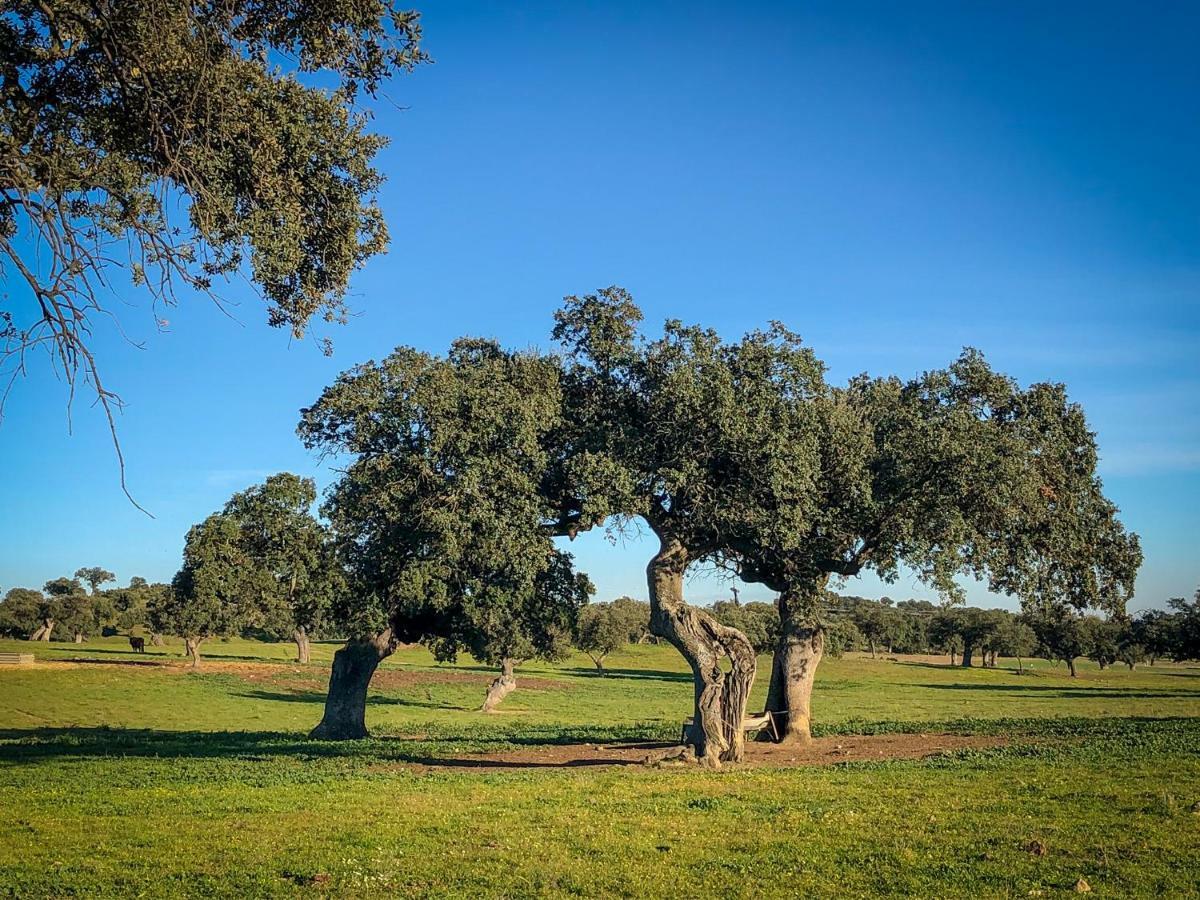 La Hermandad De Villalba Villalba de los Barros المظهر الخارجي الصورة
