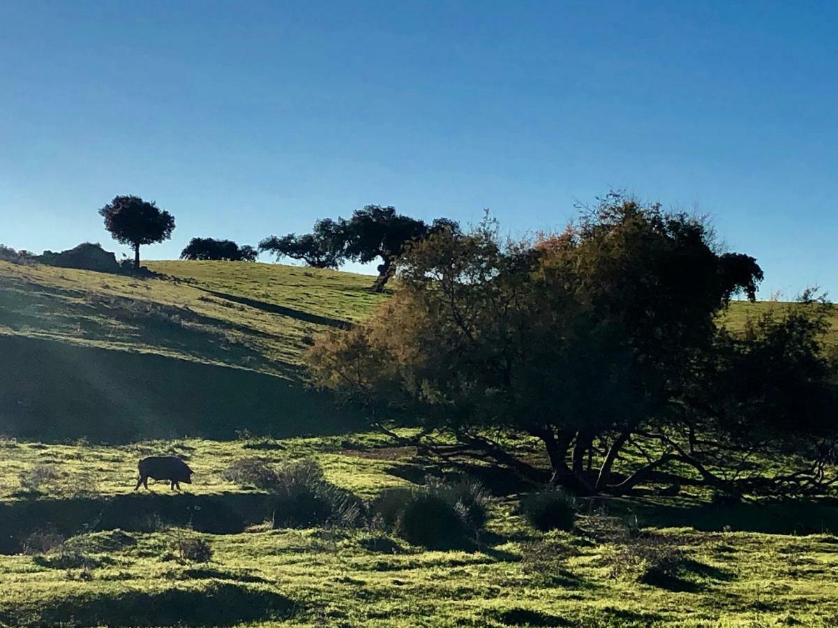 La Hermandad De Villalba Villalba de los Barros المظهر الخارجي الصورة