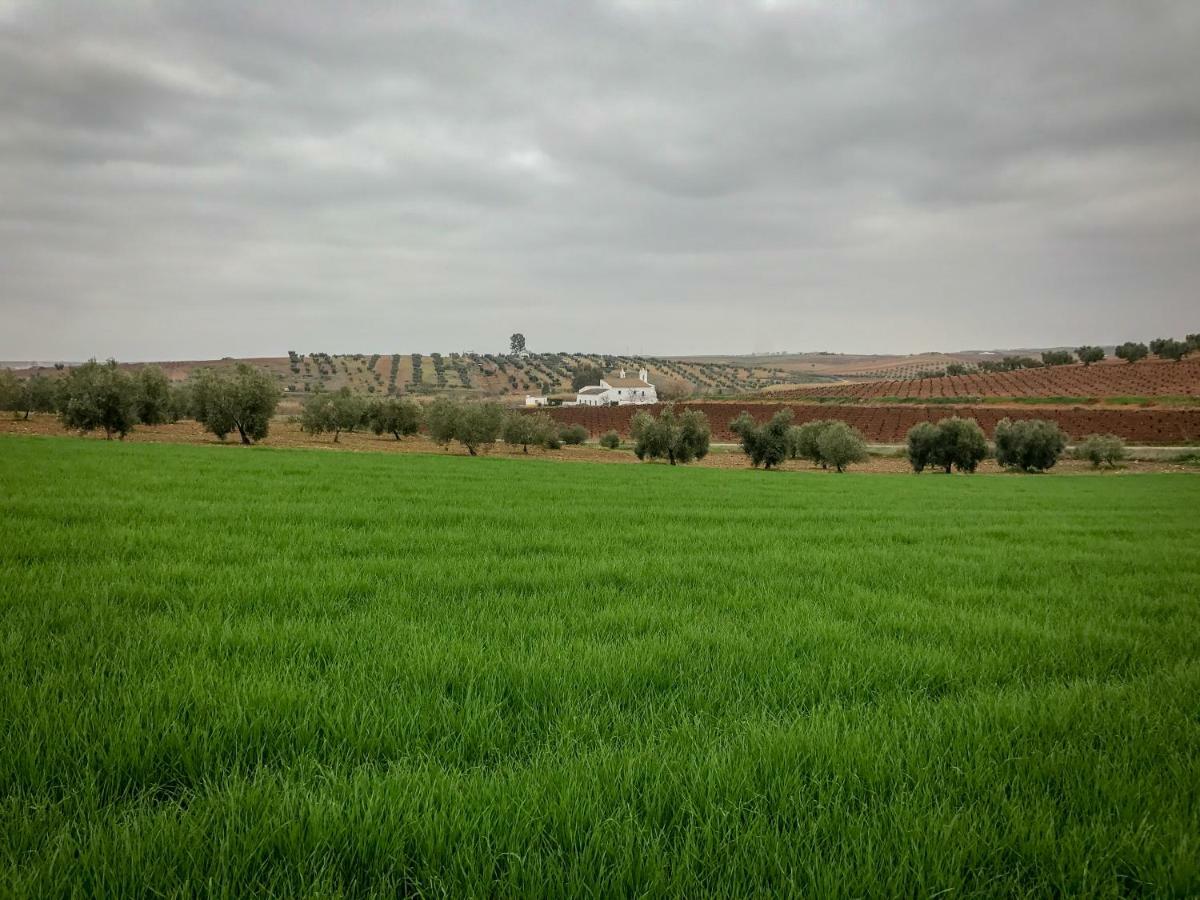 La Hermandad De Villalba Villalba de los Barros المظهر الخارجي الصورة